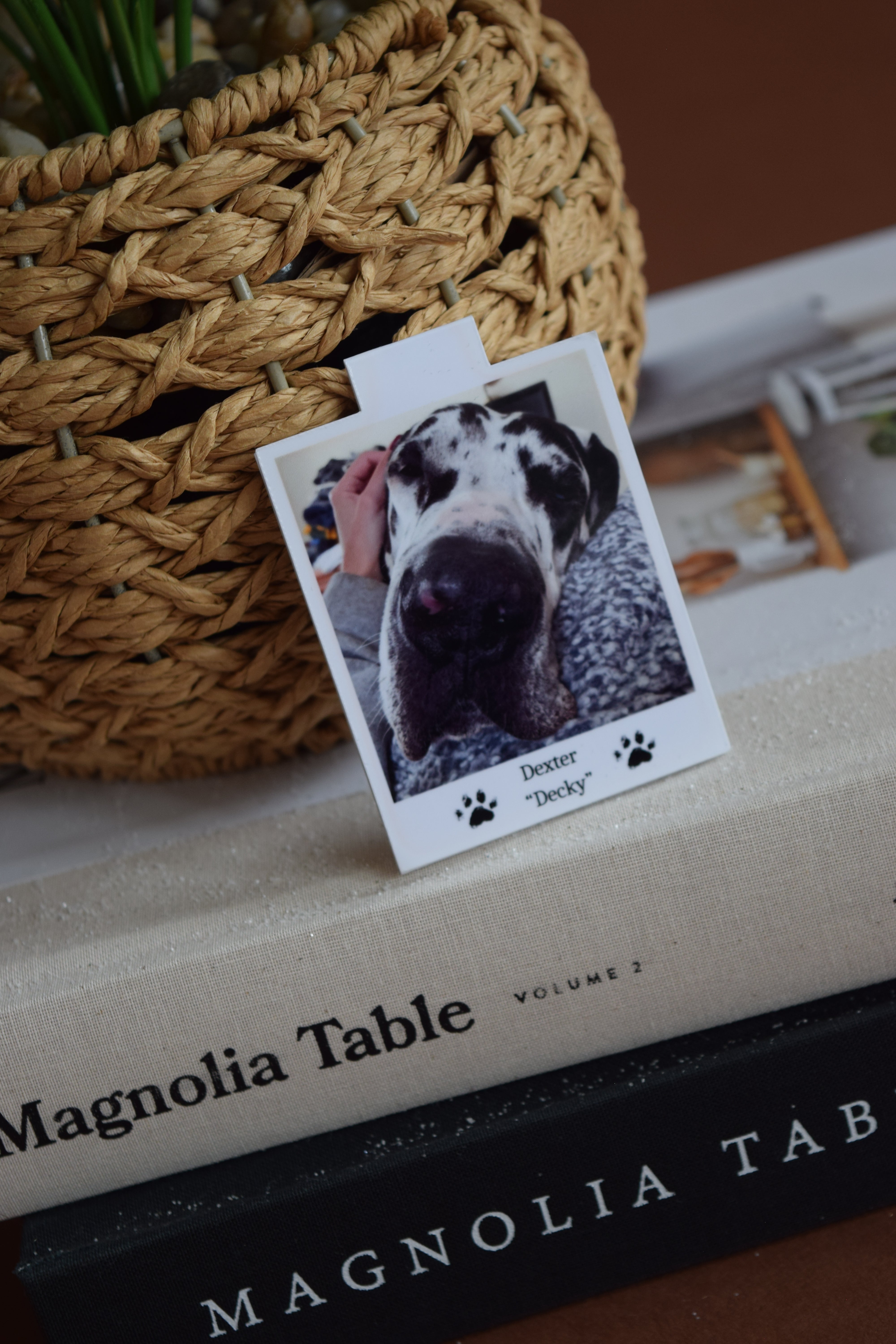 Custom Magnetic Photo Bookmark | Personalized Retro Soft Close Bookmark